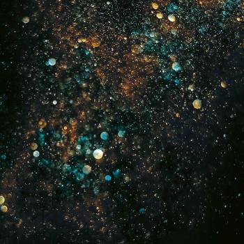 Preview: Set Roxy Katze - Canvas Taschenpanel